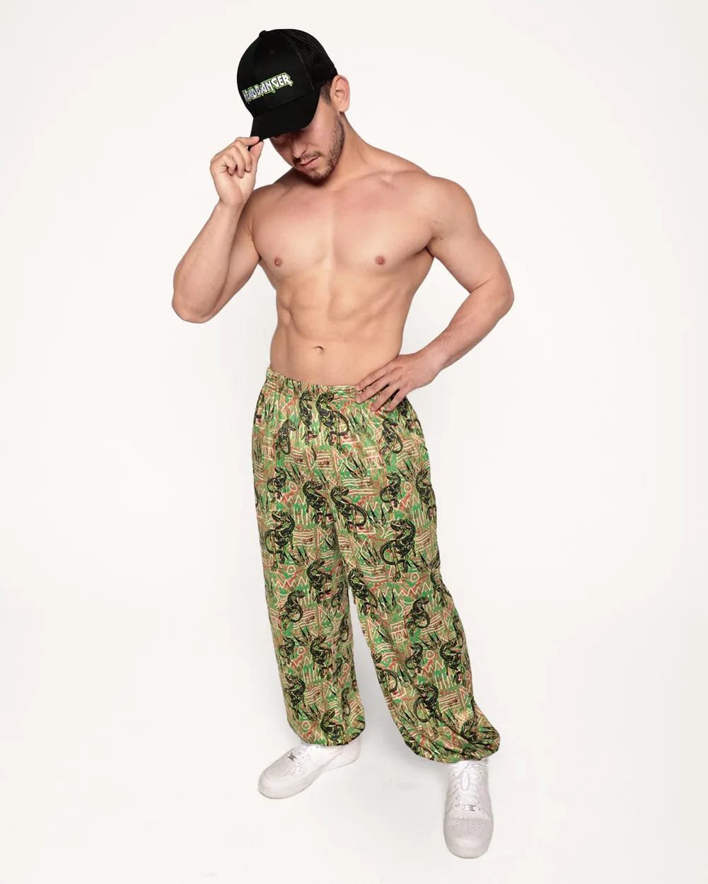 Dino Dominion Men's Harem Pants