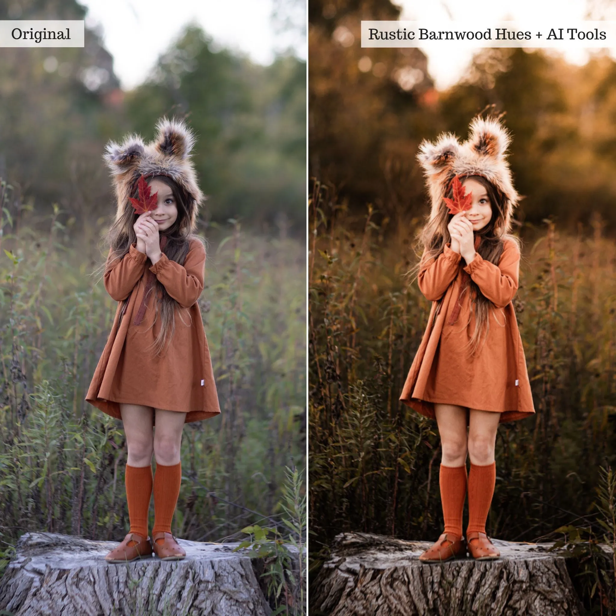 Luxe Hint of Spice Autumn Lightroom Presets & AI Tools – Desktop & Mobile