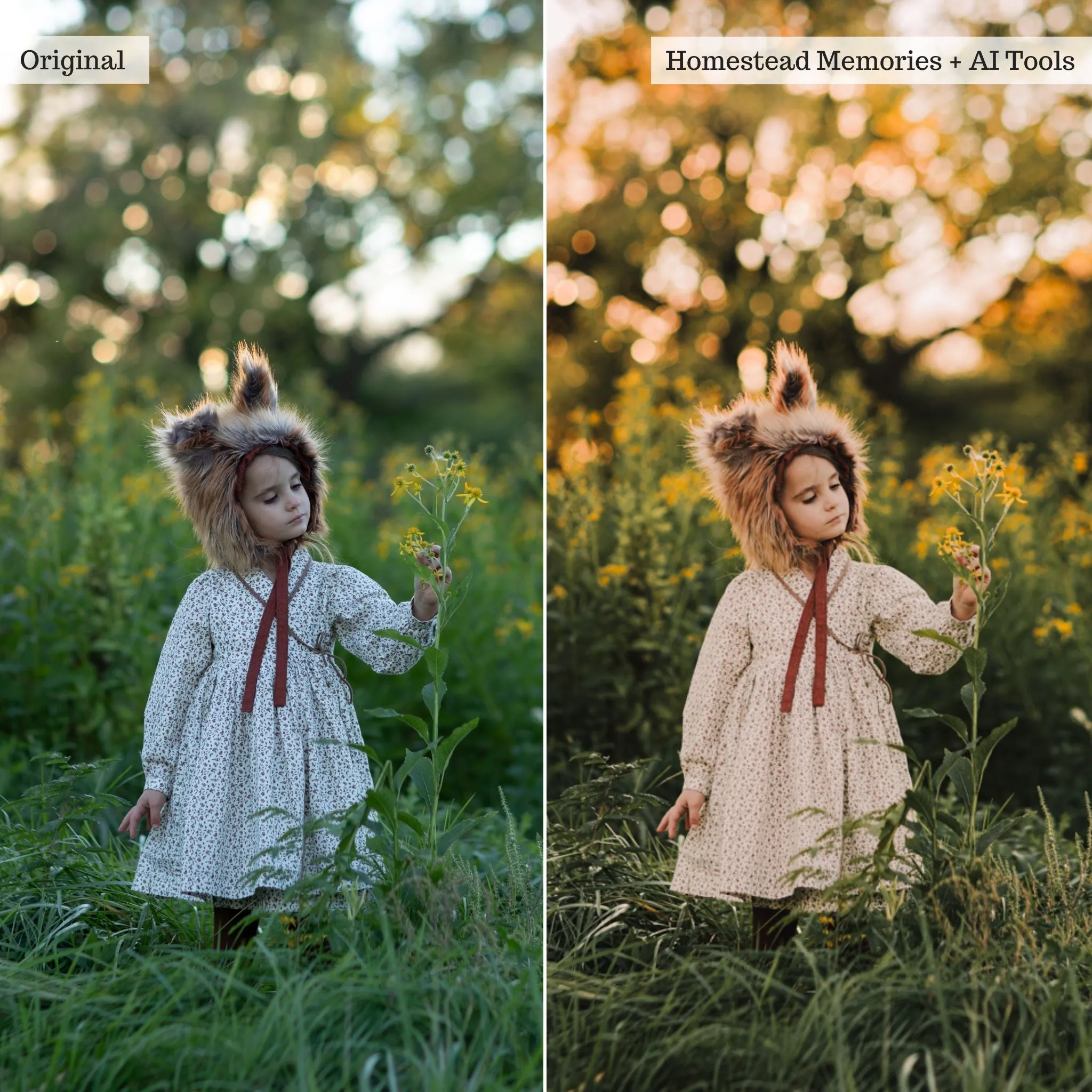 Luxe Hint of Spice Autumn Lightroom Presets & AI Tools – Desktop & Mobile