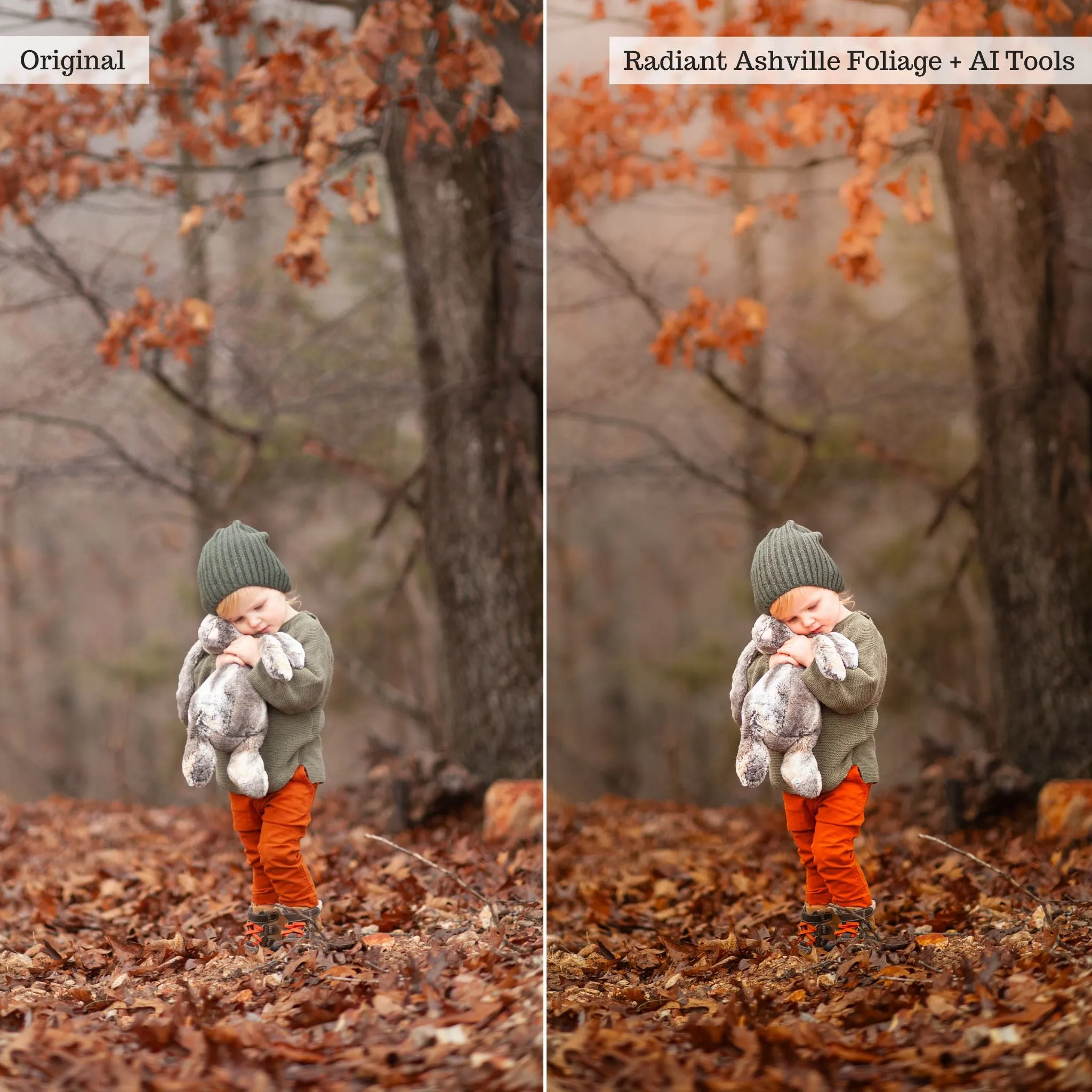 Luxe Hint of Spice Autumn Lightroom Presets & AI Tools – Desktop & Mobile