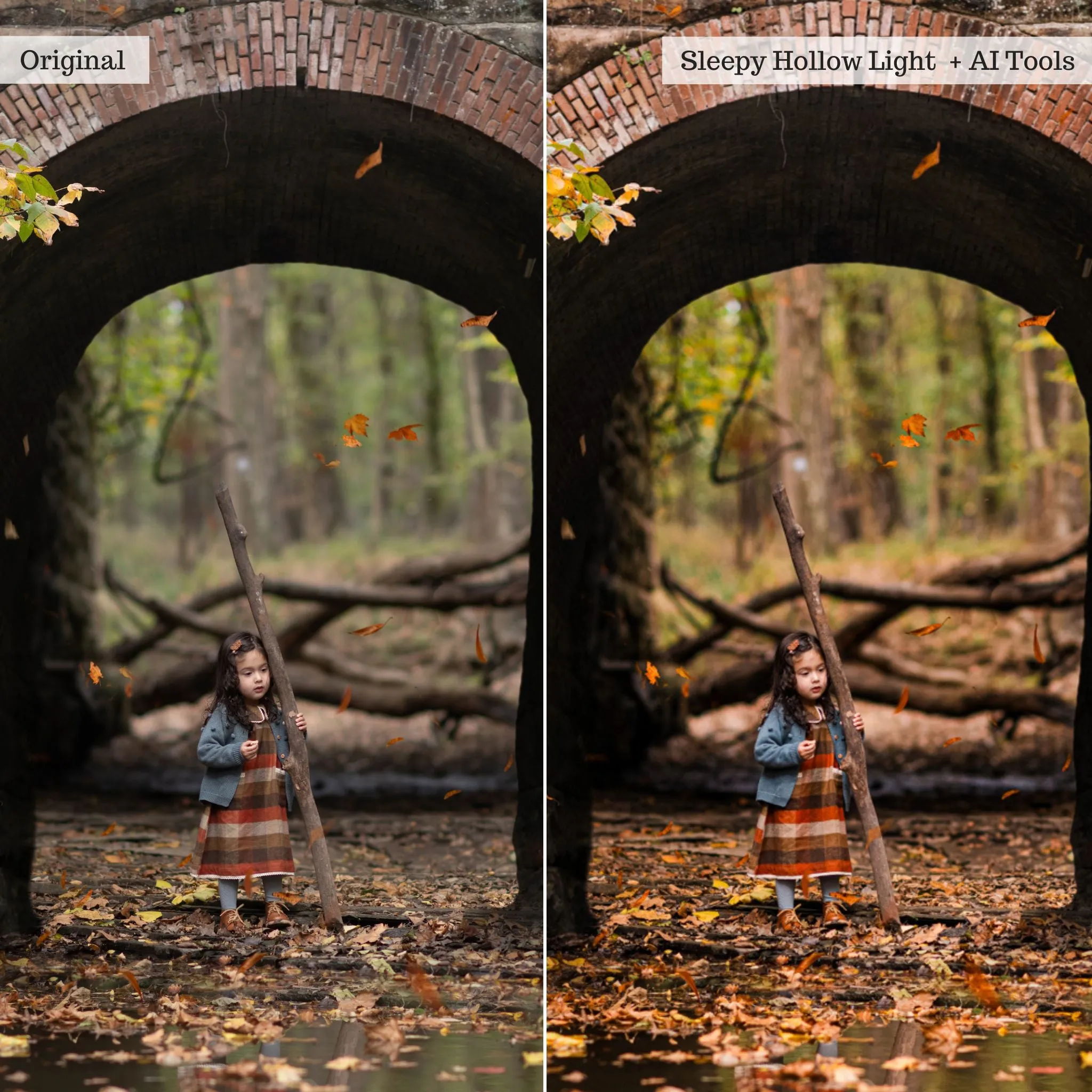 Luxe Hint of Spice Autumn Lightroom Presets & AI Tools – Desktop & Mobile