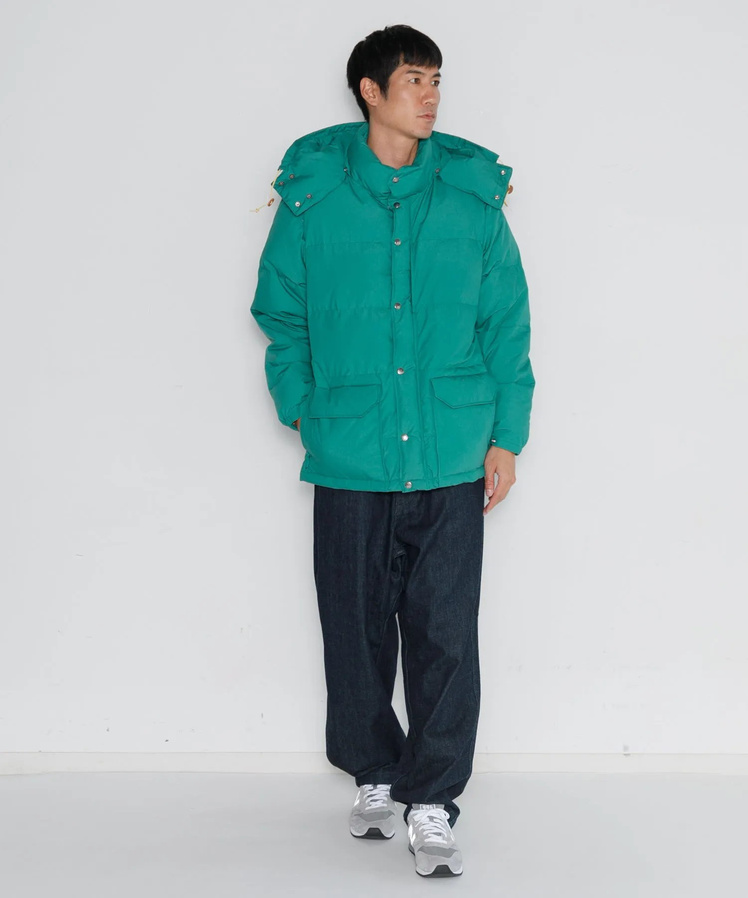 【MEN】THE NORTH FACE PURPLE LABEL 65/35 Sierra Parka