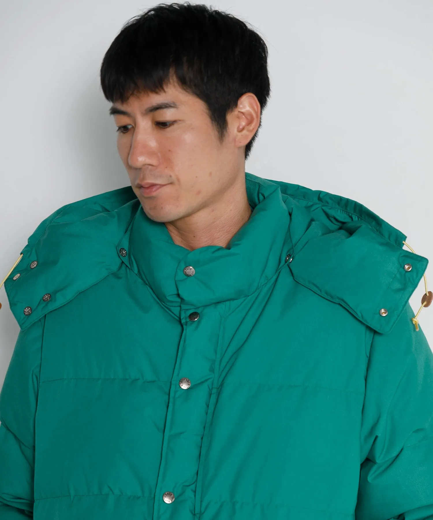 【MEN】THE NORTH FACE PURPLE LABEL 65/35 Sierra Parka