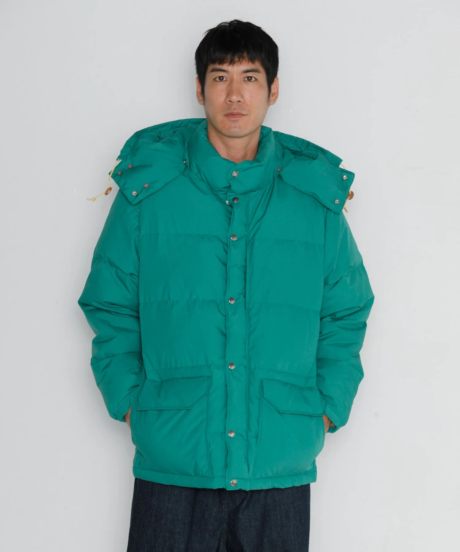 【MEN】THE NORTH FACE PURPLE LABEL 65/35 Sierra Parka