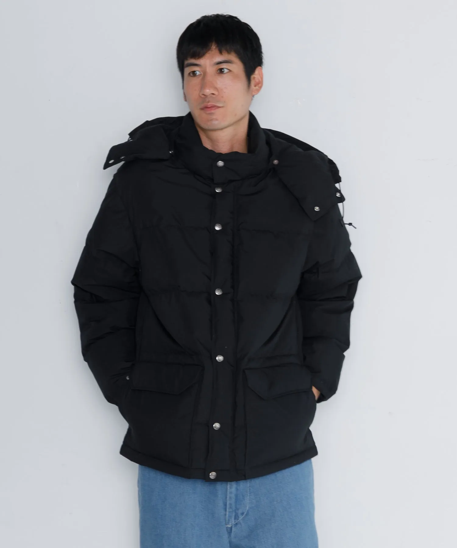 【MEN】THE NORTH FACE PURPLE LABEL 65/35 Sierra Parka