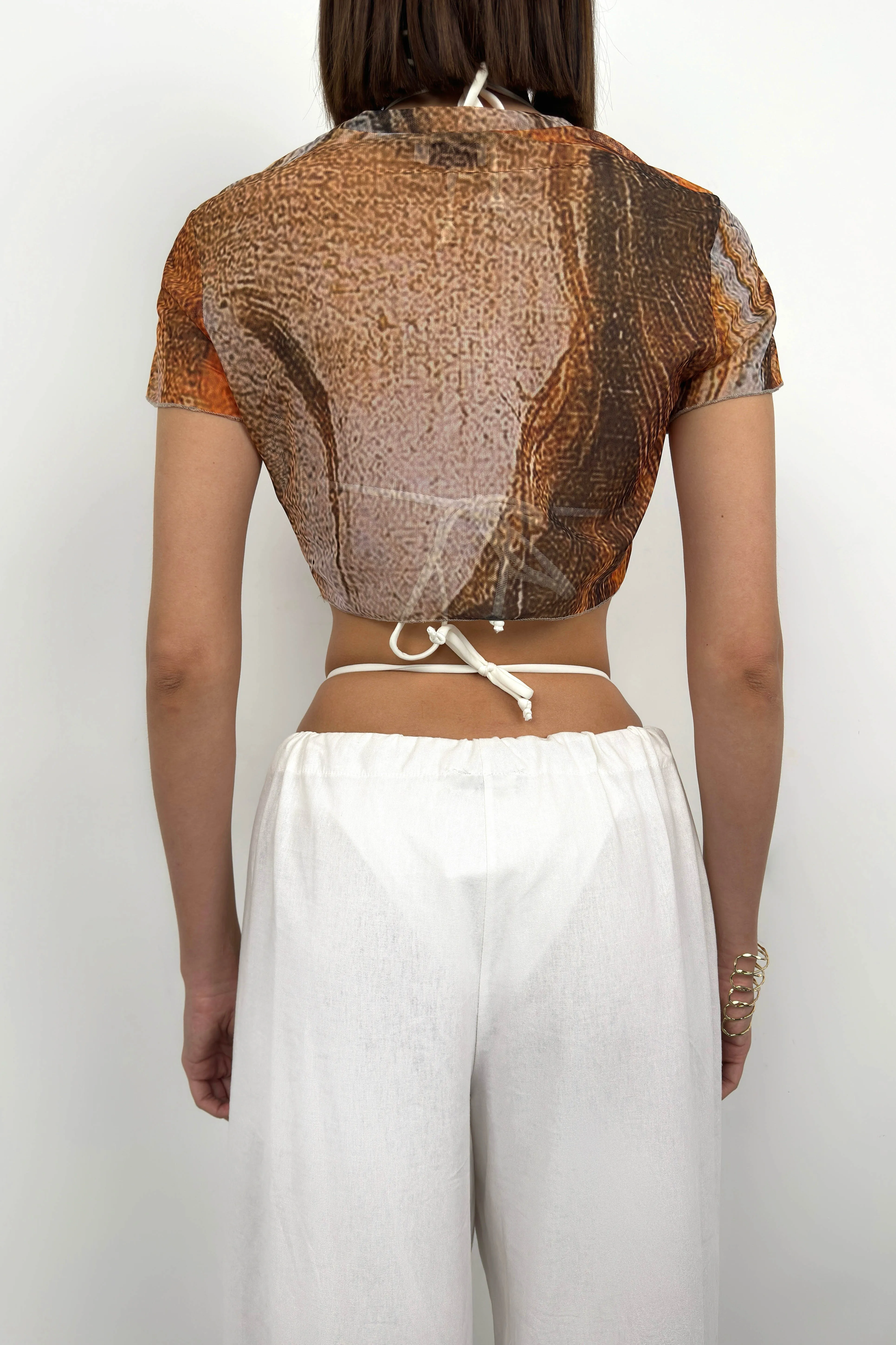 Patterned Transparent Cropped T-Shirt