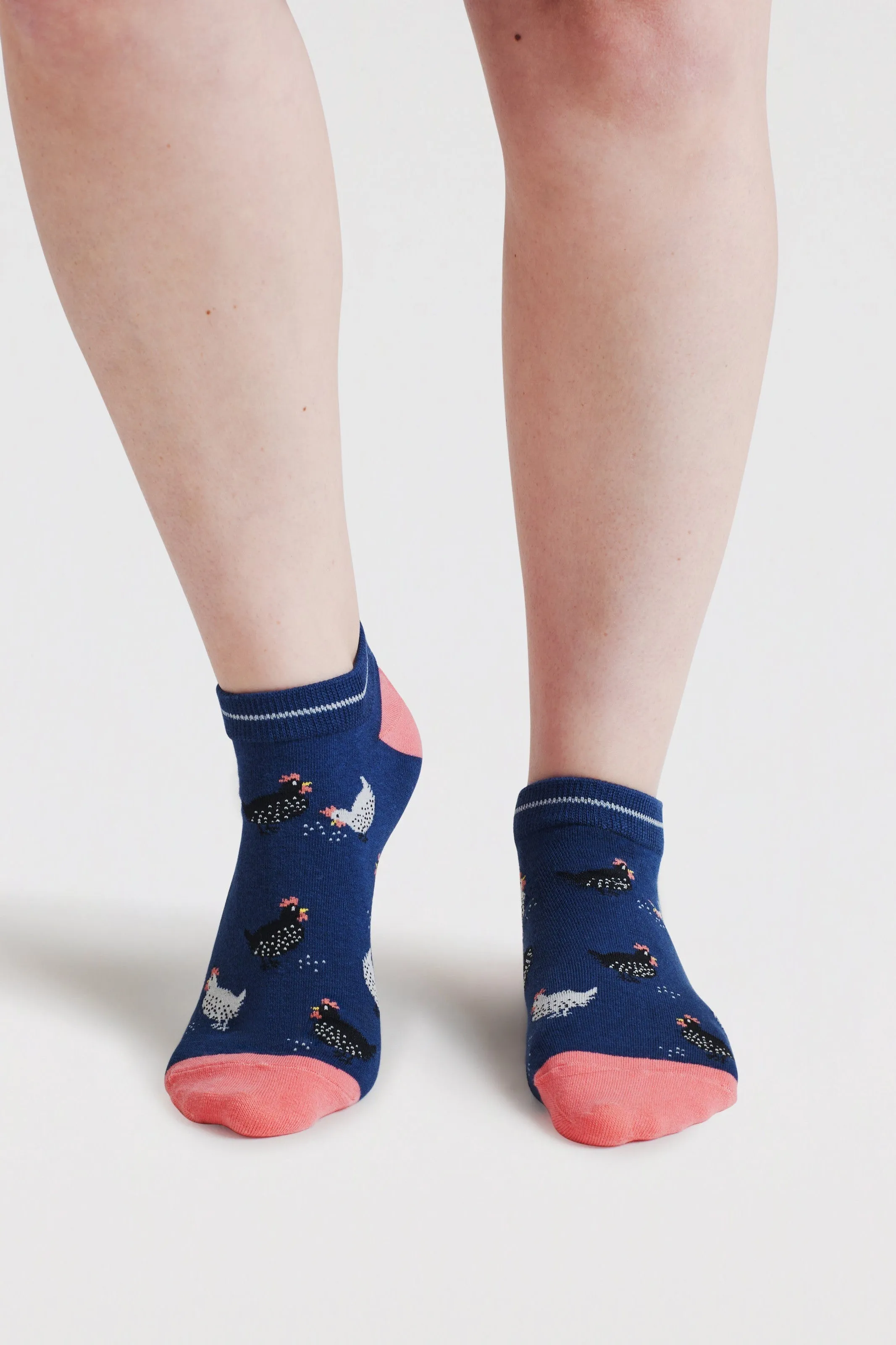 Thought Celia Chicken Bamboo Trainer Socks in Indigo Blue