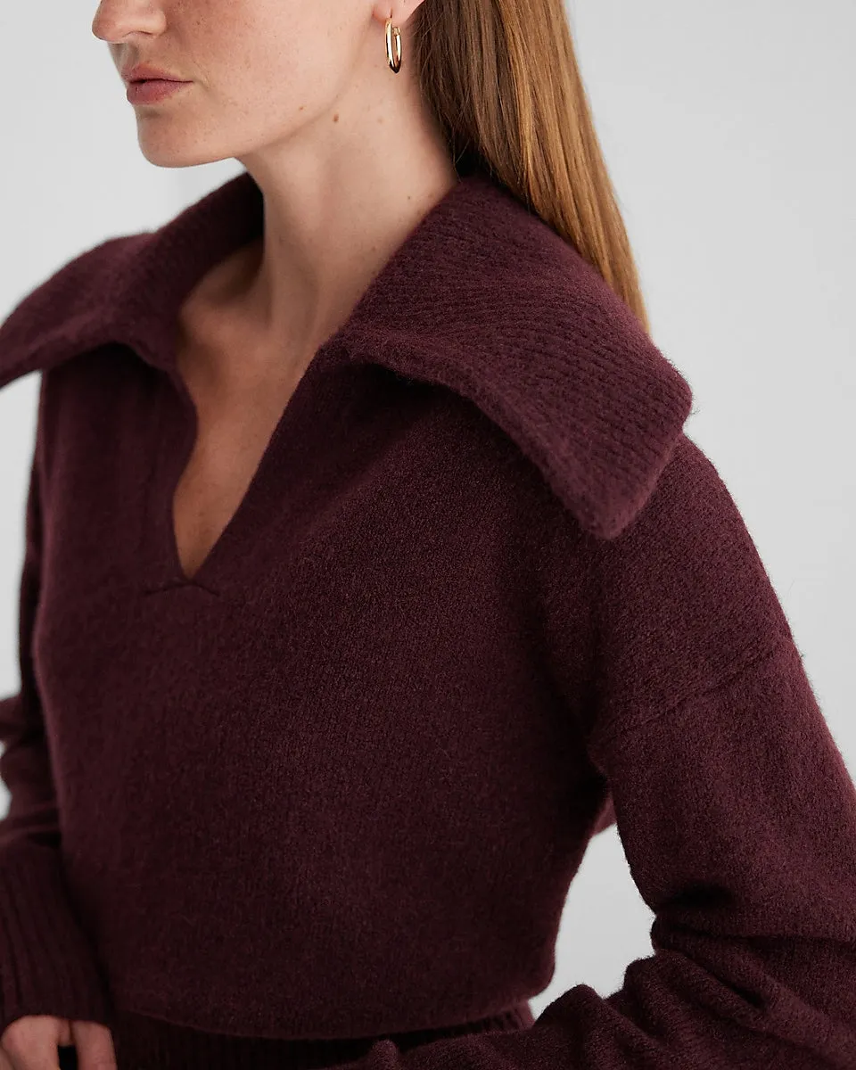 V-Neck Long Sleeve Polo Sweater in Wine