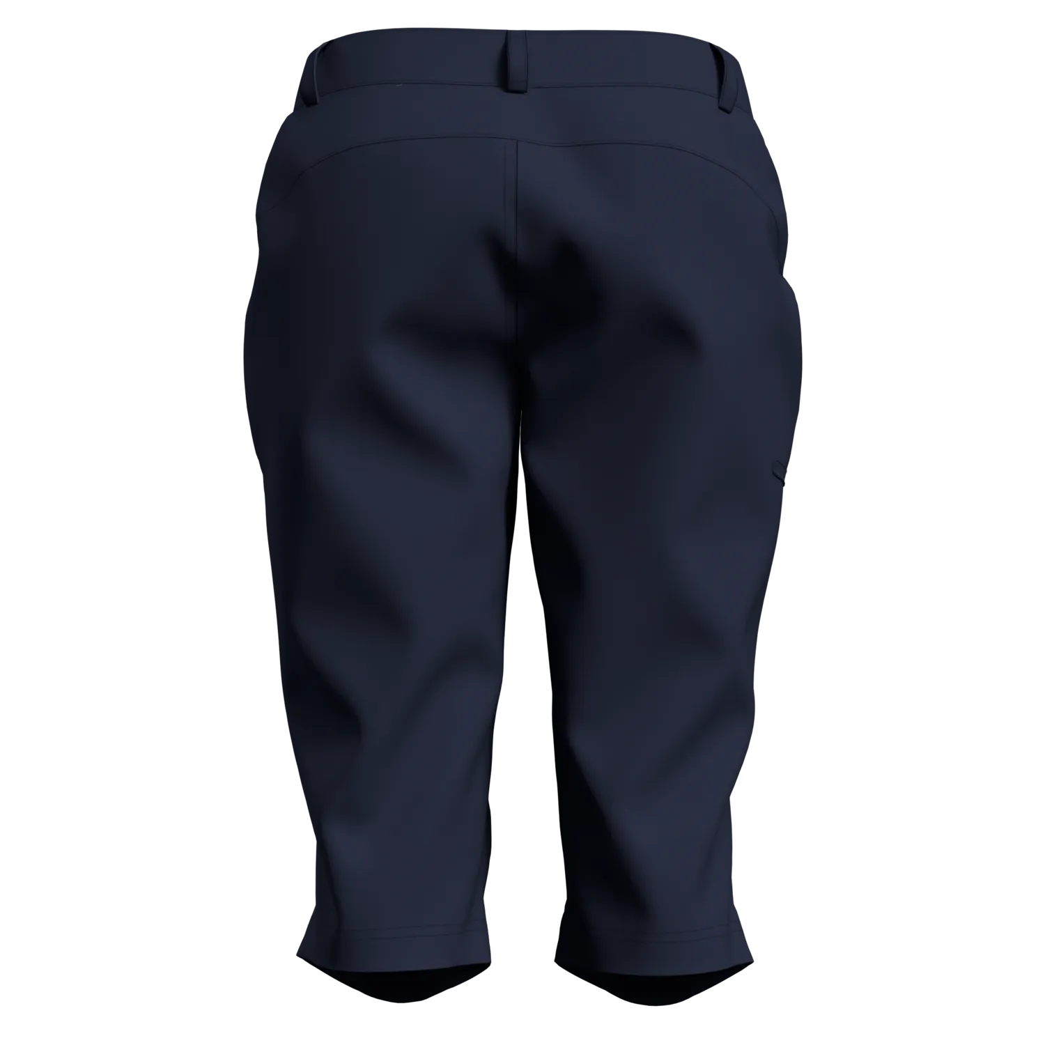 Women's Wedgemount Pants